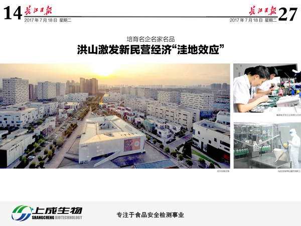 長江日報：洪山激發(fā)新民營經(jīng)濟(jì)“洼地效應(yīng)”
