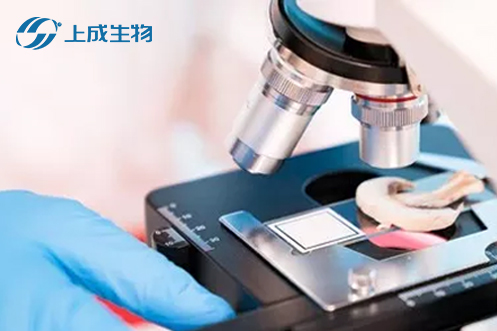 喜報，上成生物攜手荊州市四大檢測部門擬定食用農(nóng)產(chǎn)品快檢實驗室建設(shè)運行標準